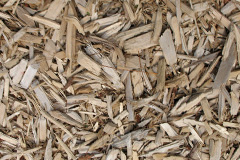 biomass boilers Shettleston